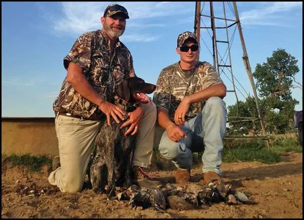 Two hunters kneeling in front of a line of shot doves on the Eastern Shore of Maryland after dove hunting