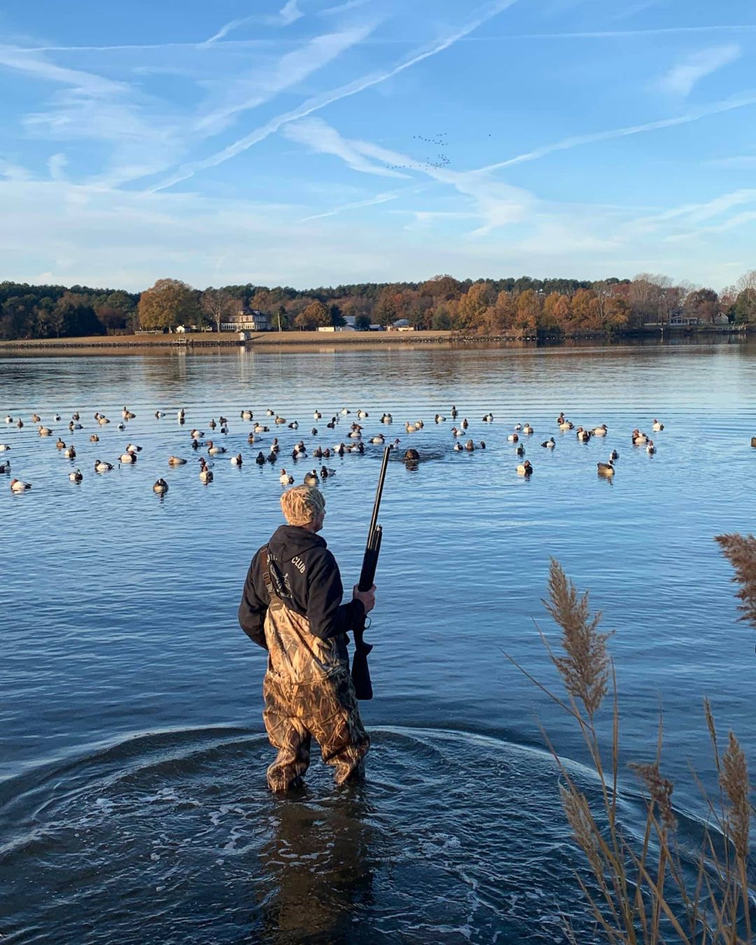 Eastern Shore Maryland waterfowl on the water